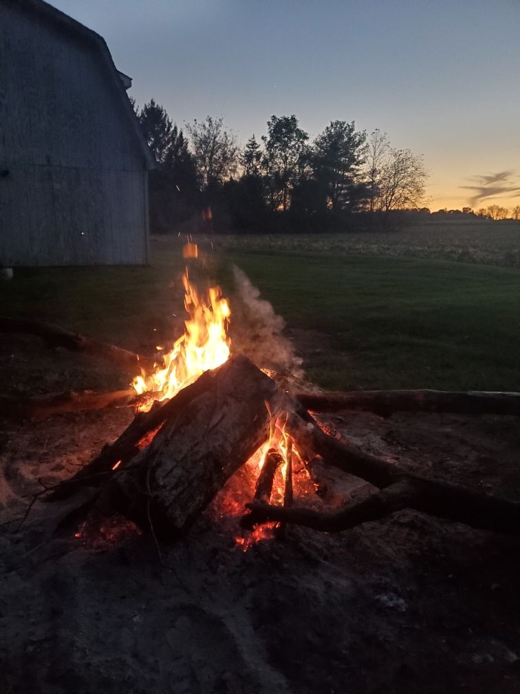 jamdirt OnlyFans profile picture