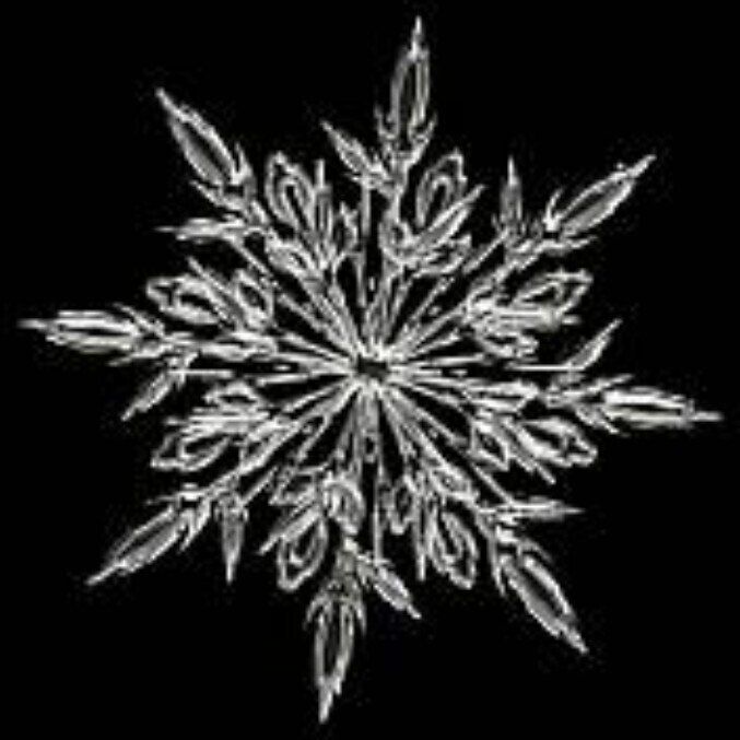 snowf1ake OnlyFans profile picture