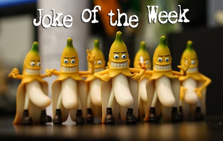 f3ralbanana OnlyFans profile picture
