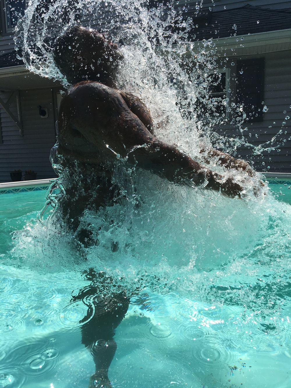 rockbear30 OnlyFans profile picture