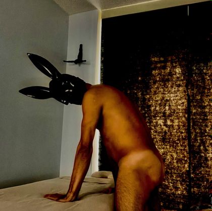 magichands305 OnlyFans picture