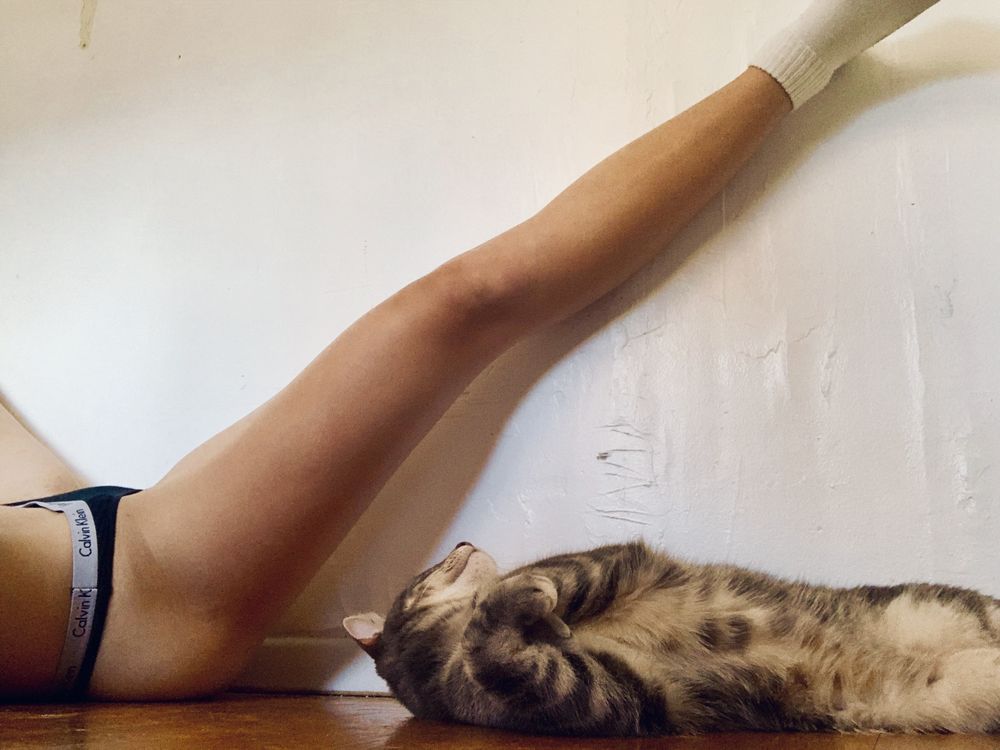 catnip69420 OnlyFans profile picture