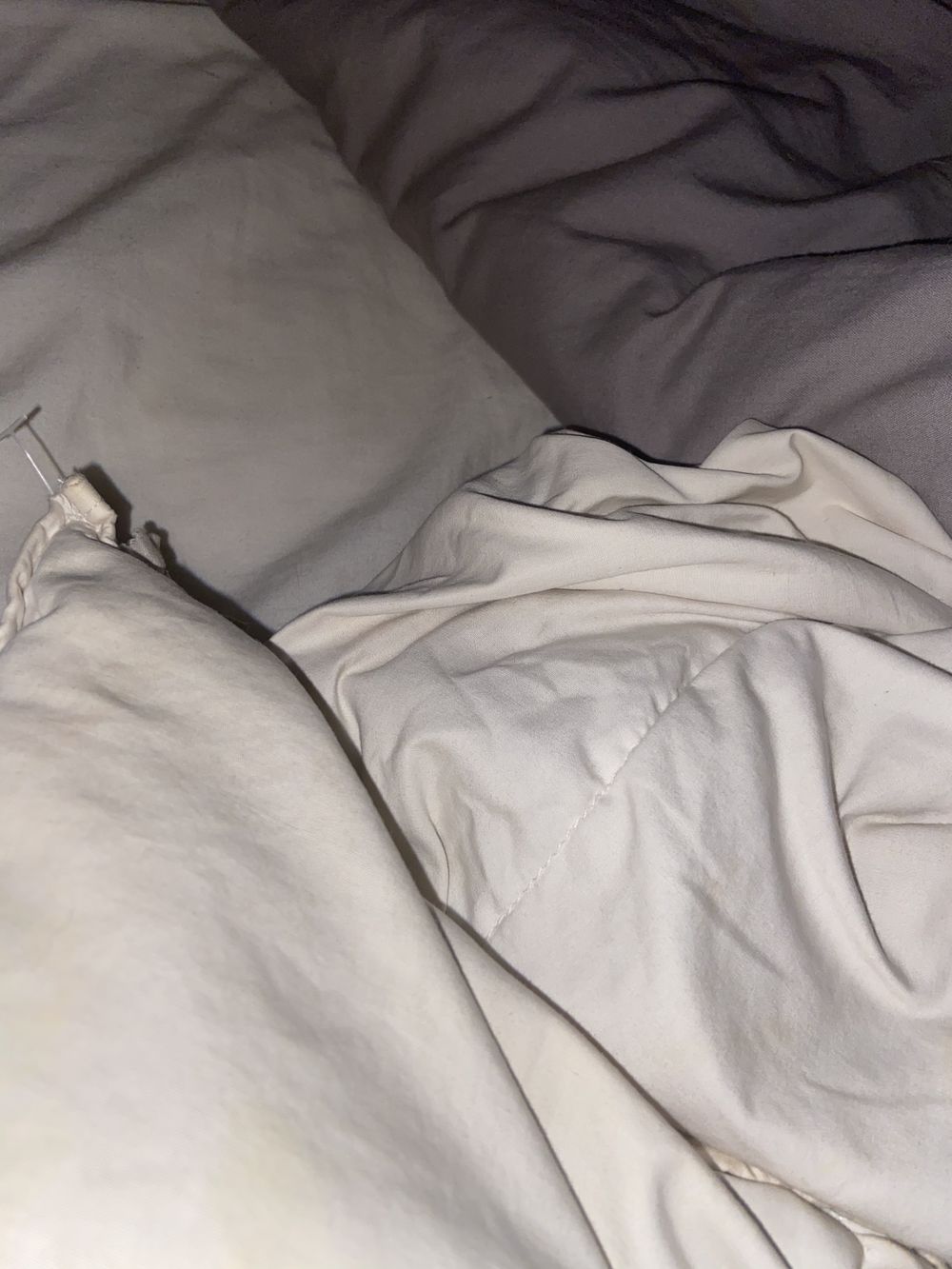 babyaussie OnlyFans profile picture