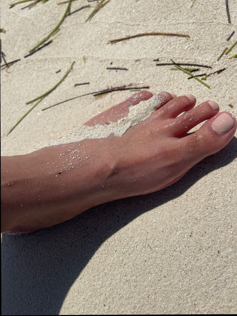 prissyfeet22 OnlyFans profile picture