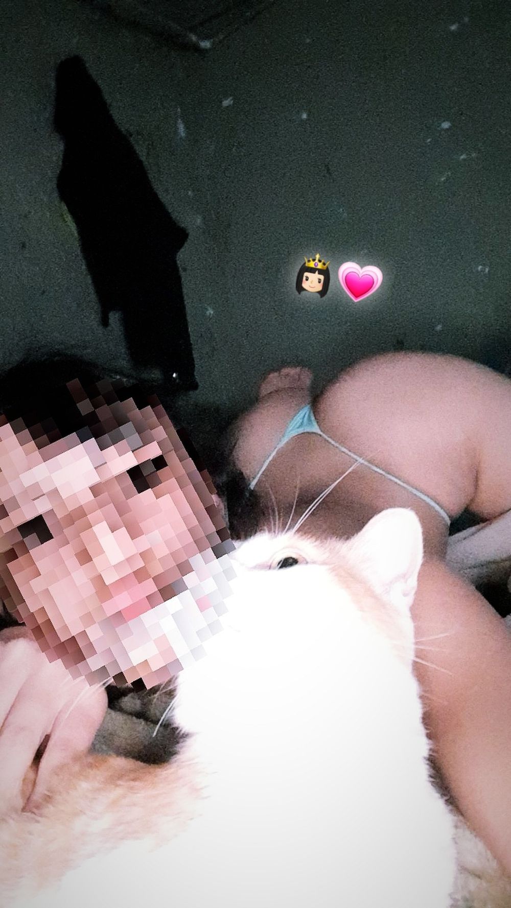 u114881071 OnlyFans profile picture