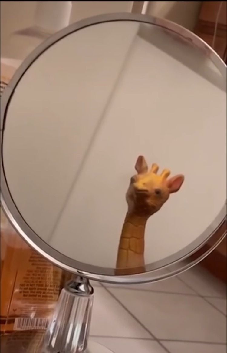 ryandeno OnlyFans profile picture