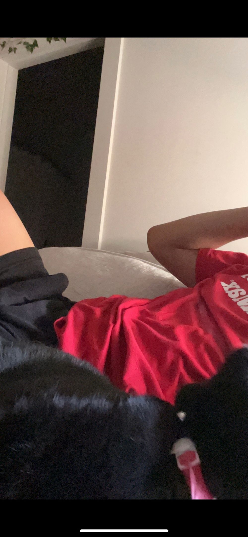 anthonyhasonlyfans OnlyFans profile picture