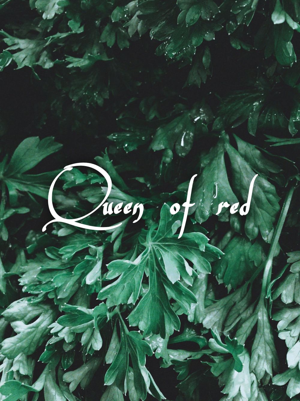 queenofredd OnlyFans profile picture