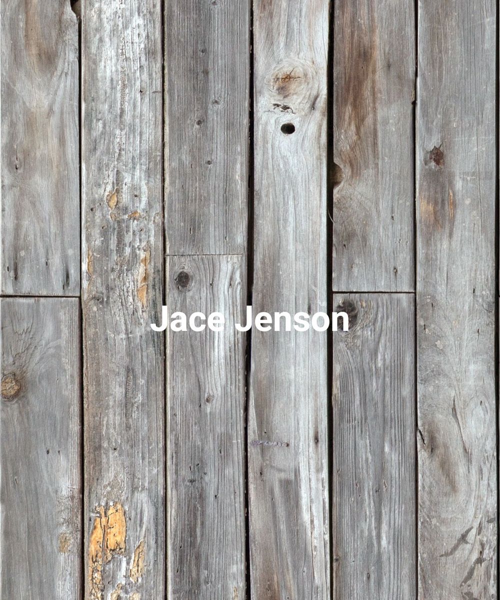jacejenson OnlyFans profile picture