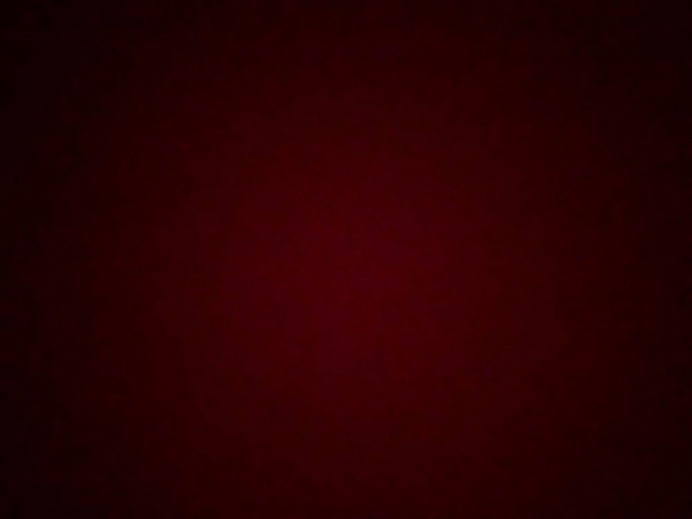 lghtswllgd OnlyFans profile picture