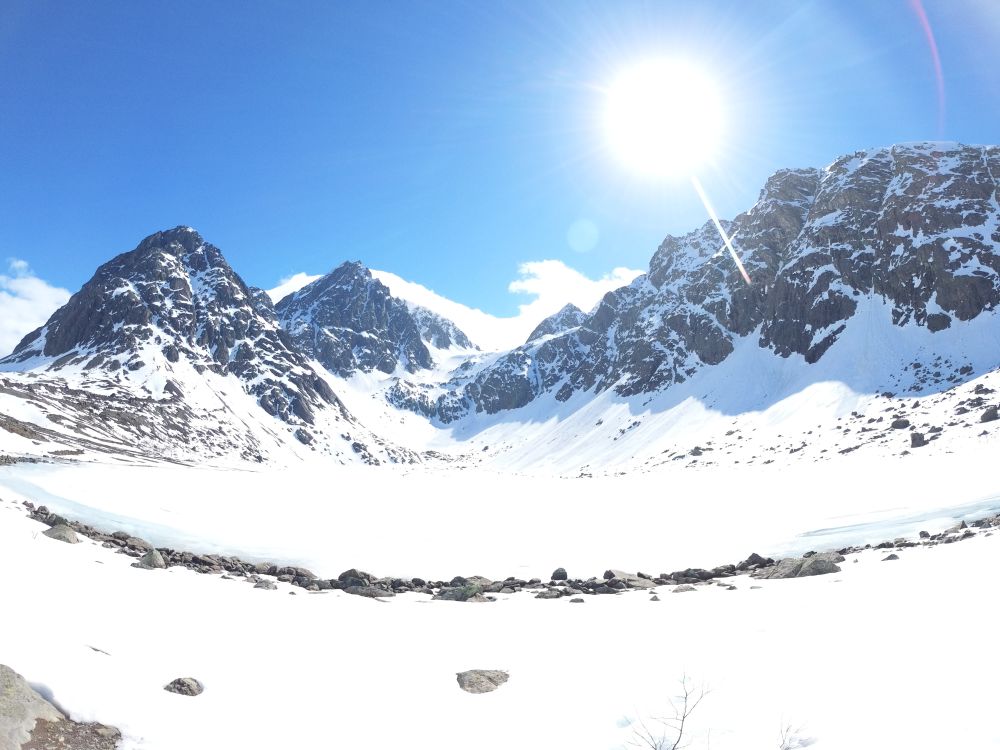 arctichiking OnlyFans profile picture