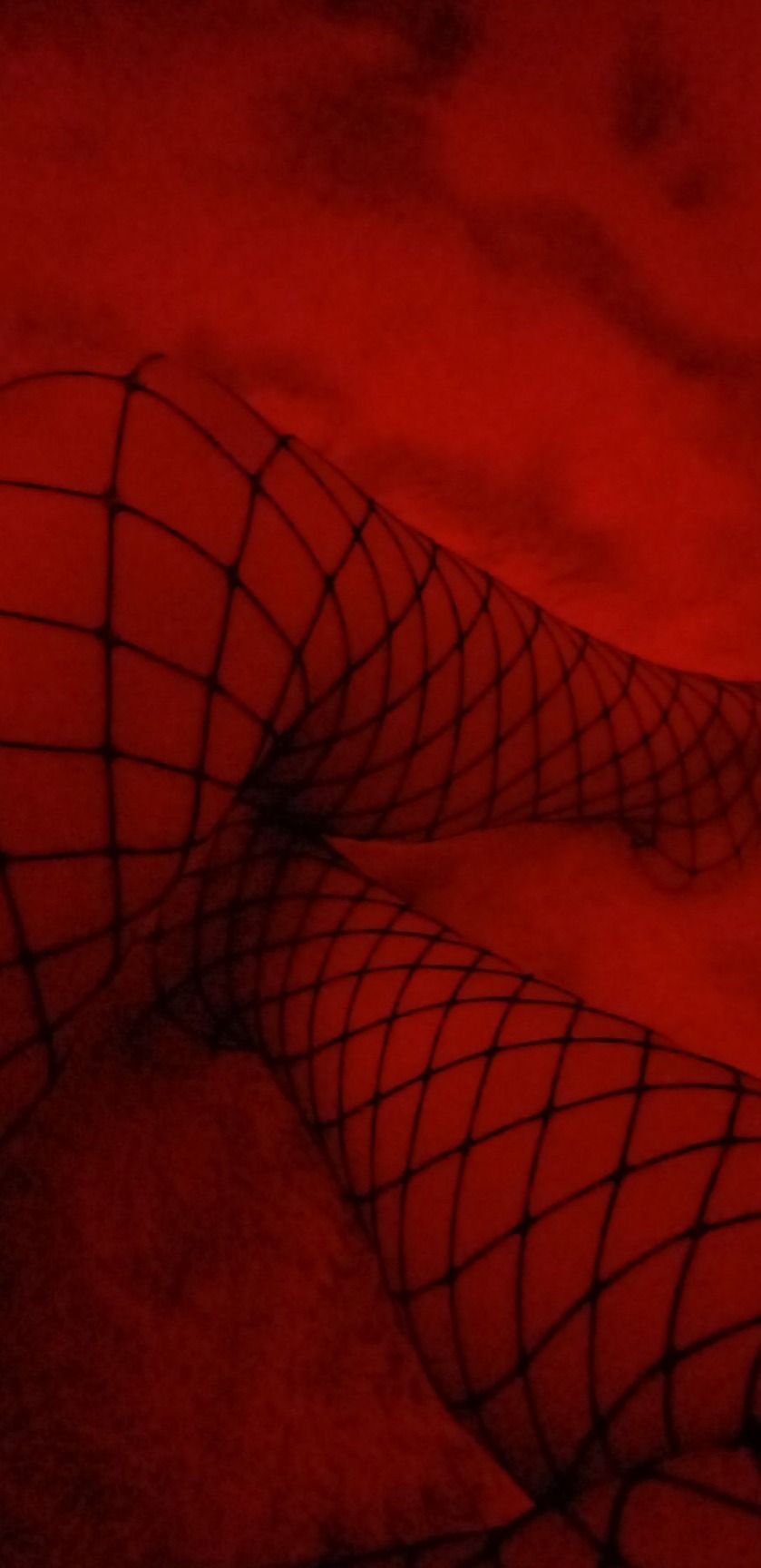 luz-1958 OnlyFans profile picture