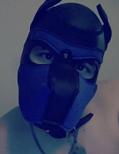 subpupdiesel OnlyFans picture