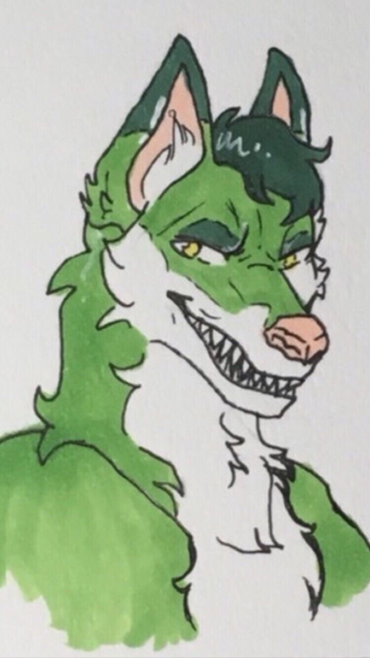 dum_dingo OnlyFans profile picture