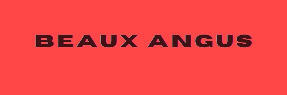 beauxangus OnlyFans profile picture