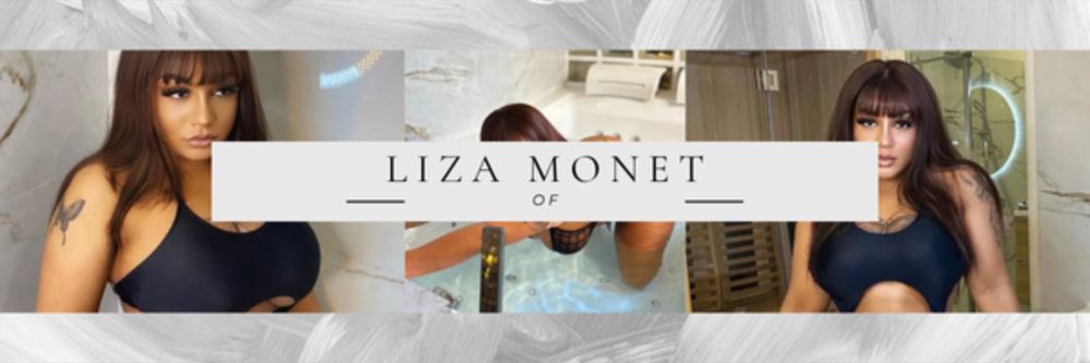 lizamonet OnlyFans profile picture
