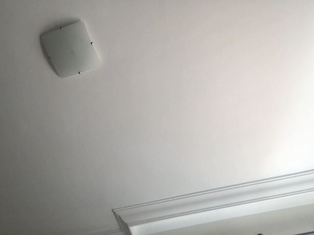 bearbang OnlyFans profile picture