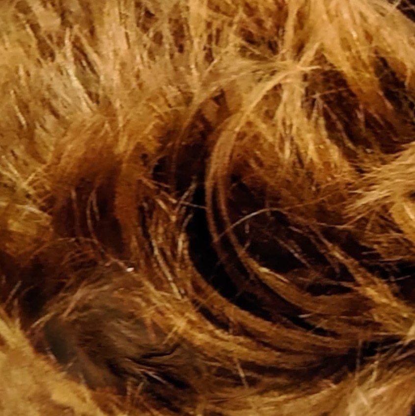 donnabiologica OnlyFans profile picture