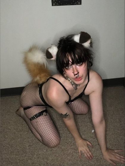 forestprince OnlyFans picture