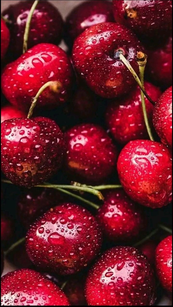 tusensualmorocha OnlyFans profile picture