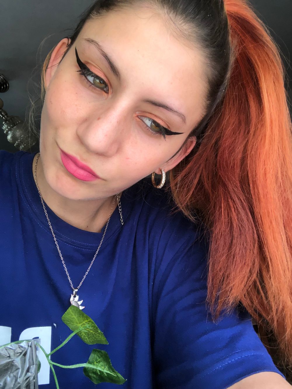 nilahroze OnlyFans profile picture