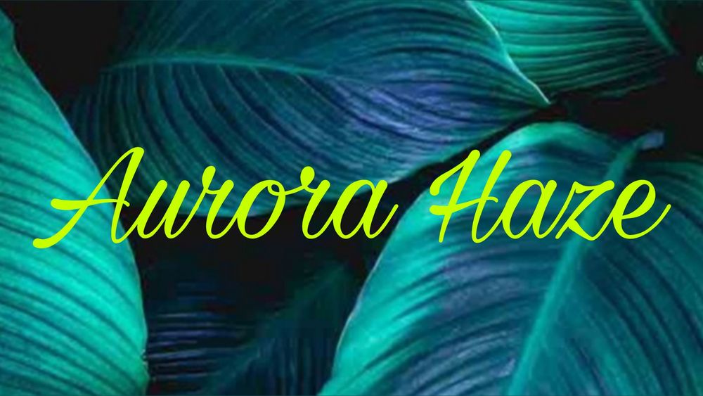 aurorahaze0 OnlyFans profile picture