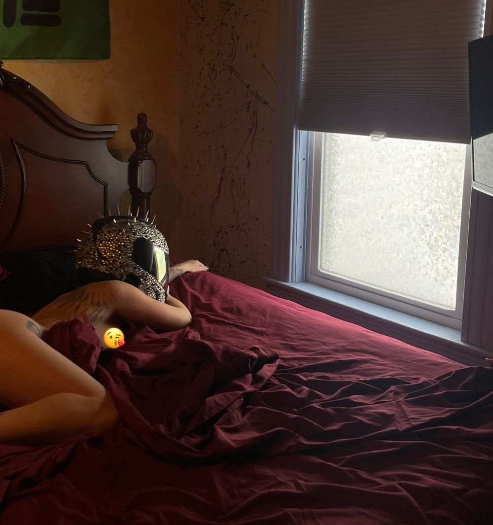 domibahamii OnlyFans profile picture
