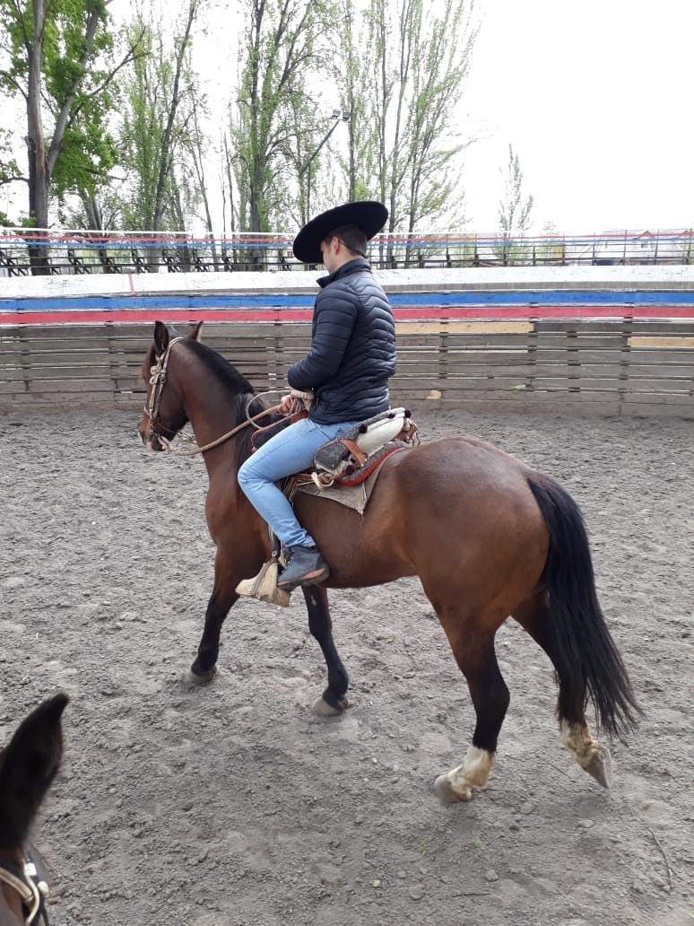 cowboygainer OnlyFans profile picture