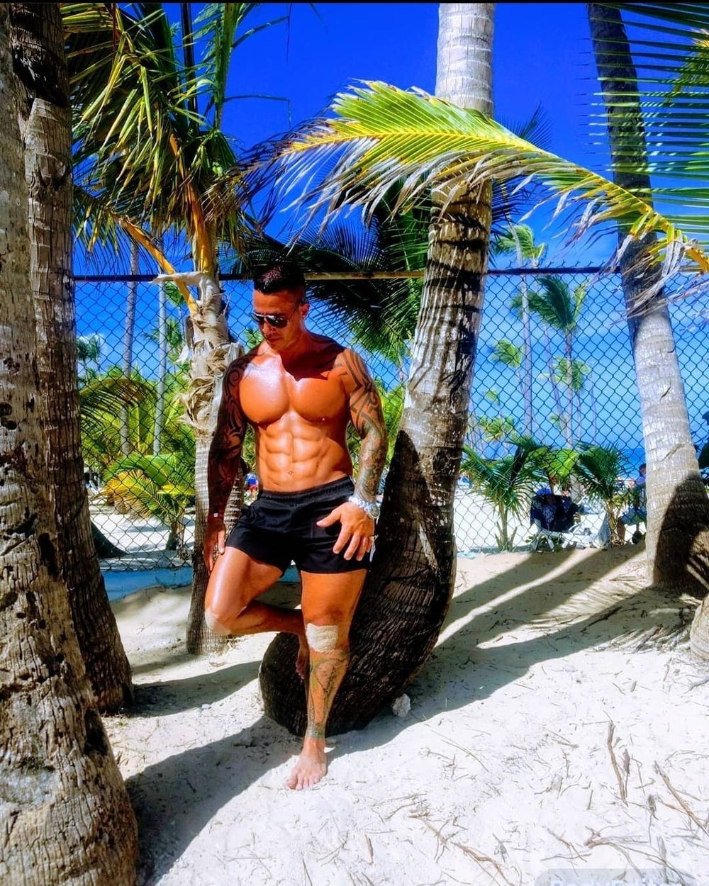 dominiqueking OnlyFans profile picture