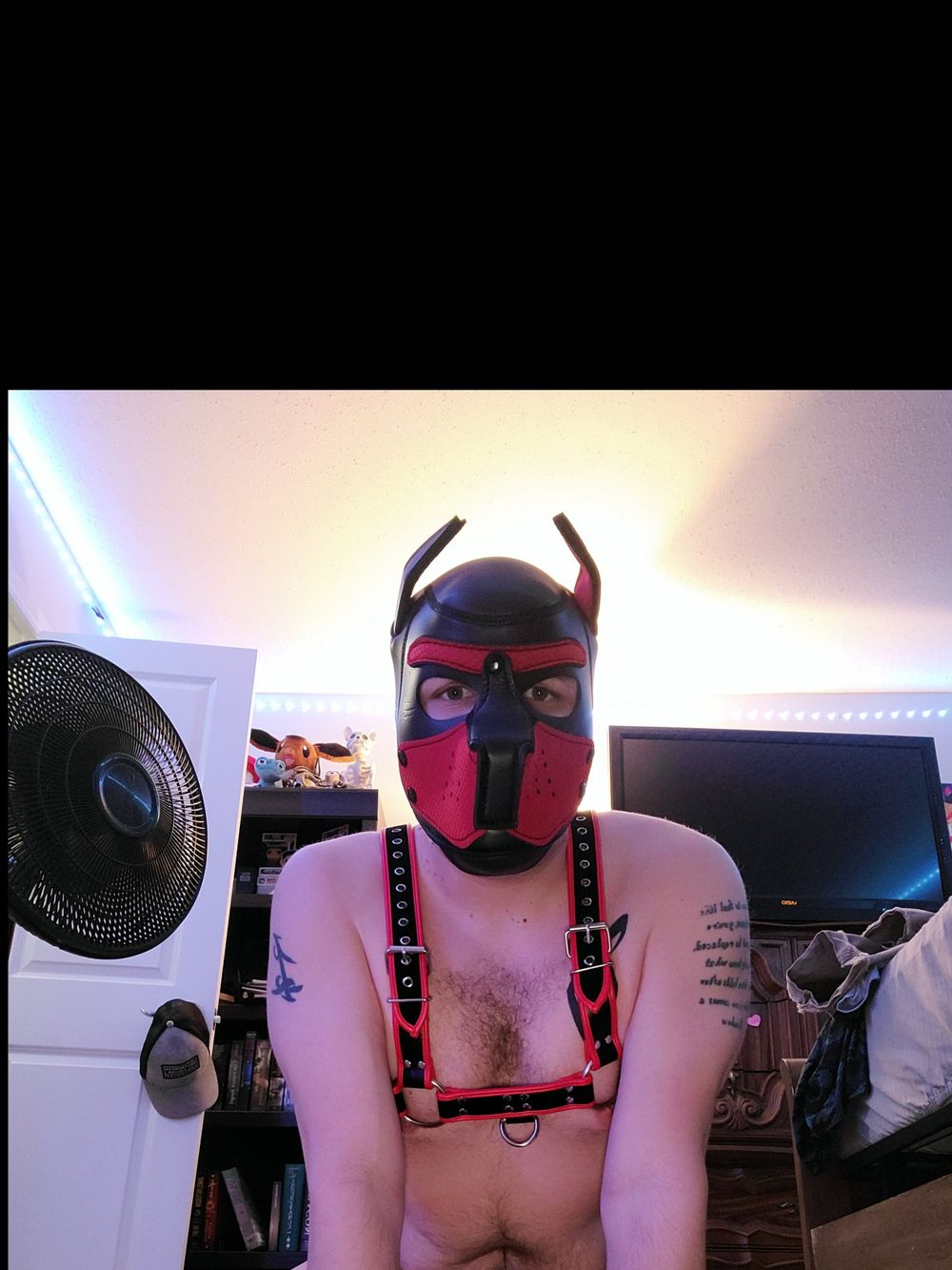 pup_merlin OnlyFans profile picture
