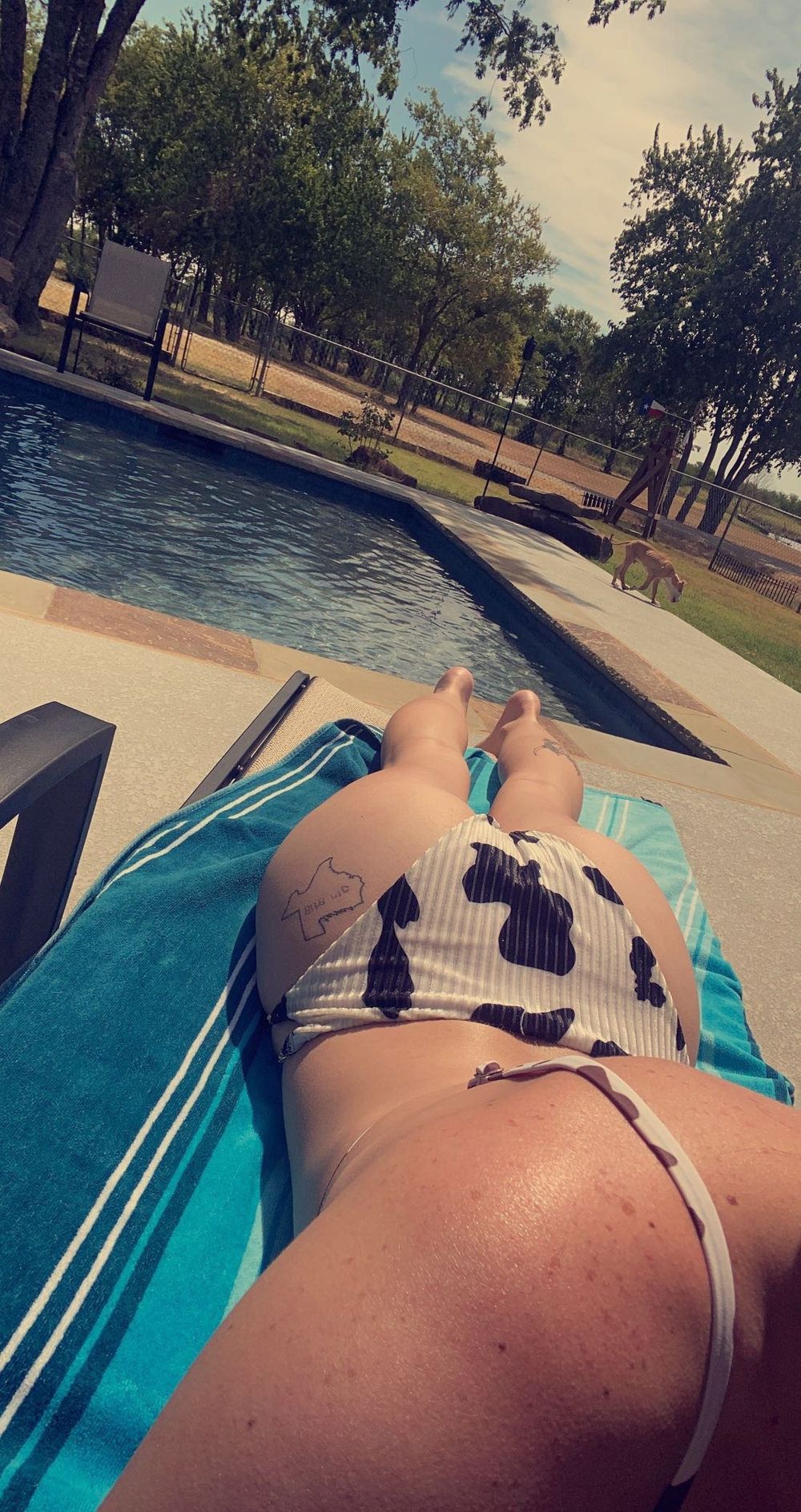 tatsandtits57 OnlyFans profile picture