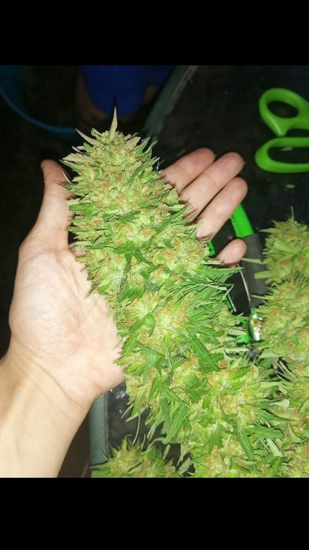 t.french OnlyFans profile picture