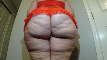 bigbootypawgqueen OnlyFans profile picture