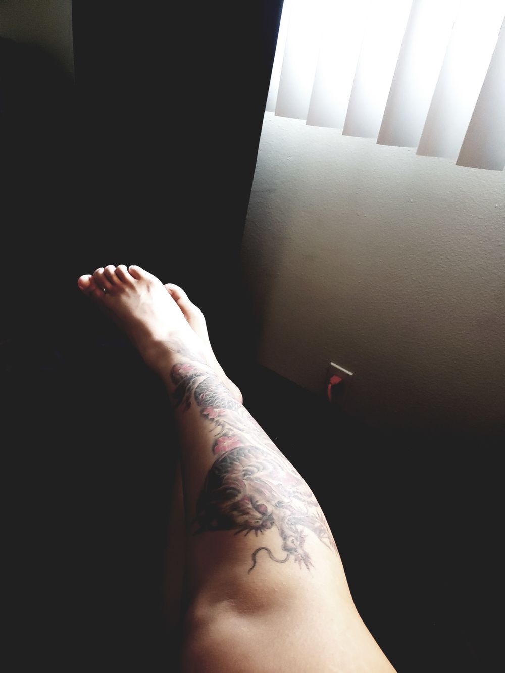 scorpiocanttell OnlyFans profile picture