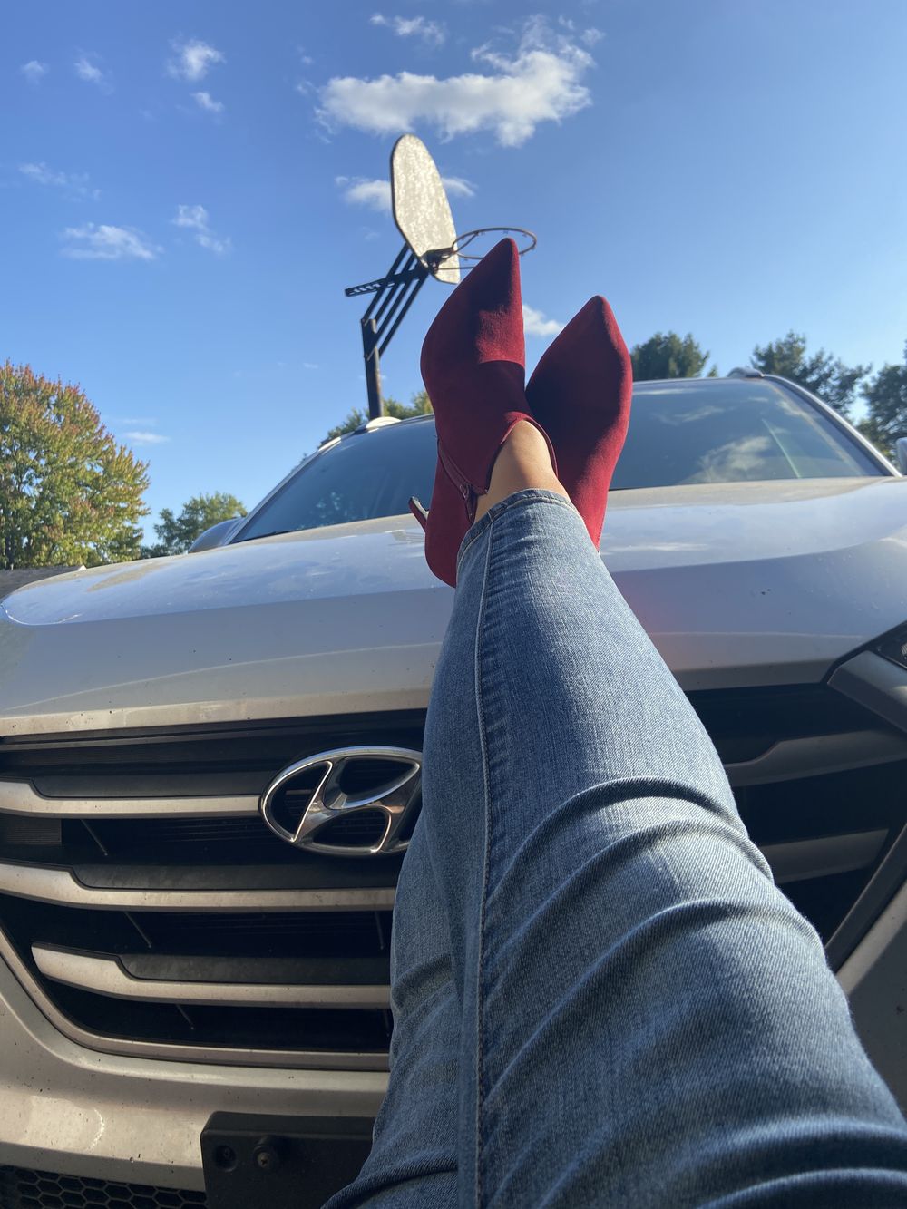 ashley8338 OnlyFans profile picture