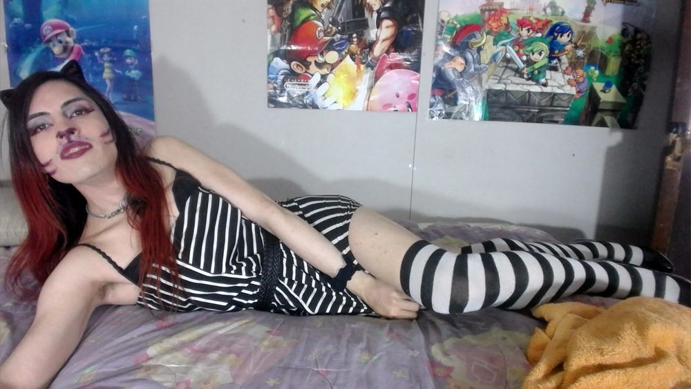 sophiakittyvip OnlyFans profile picture
