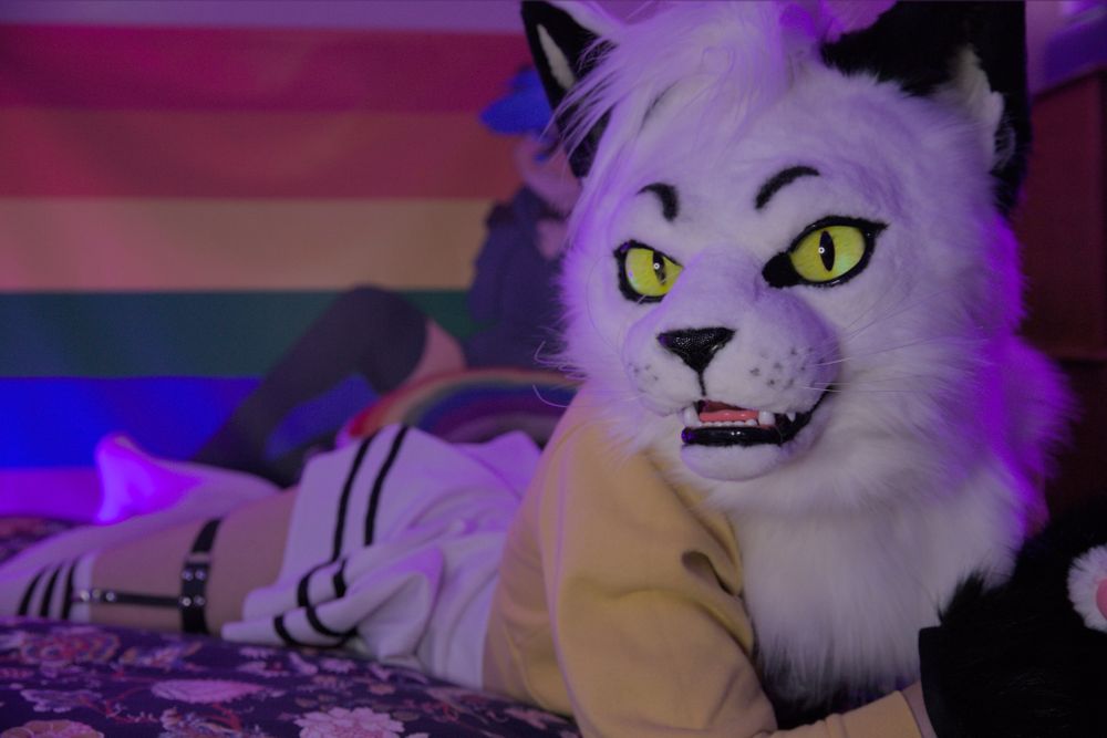 femboymox OnlyFans profile picture
