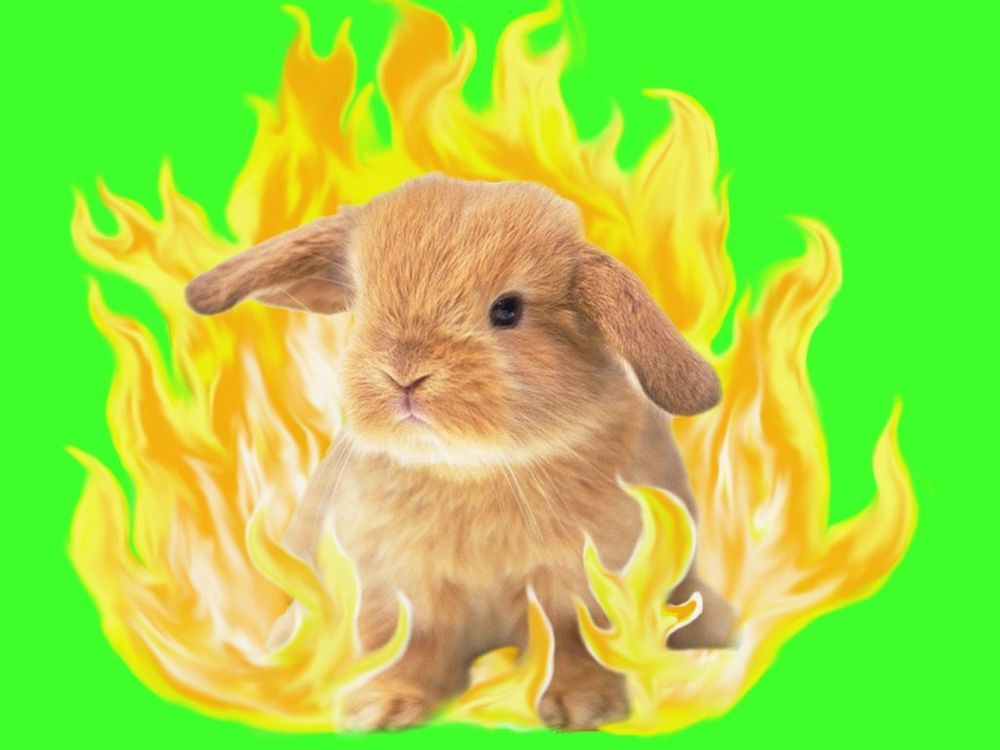 bunnyinflames OnlyFans profile picture