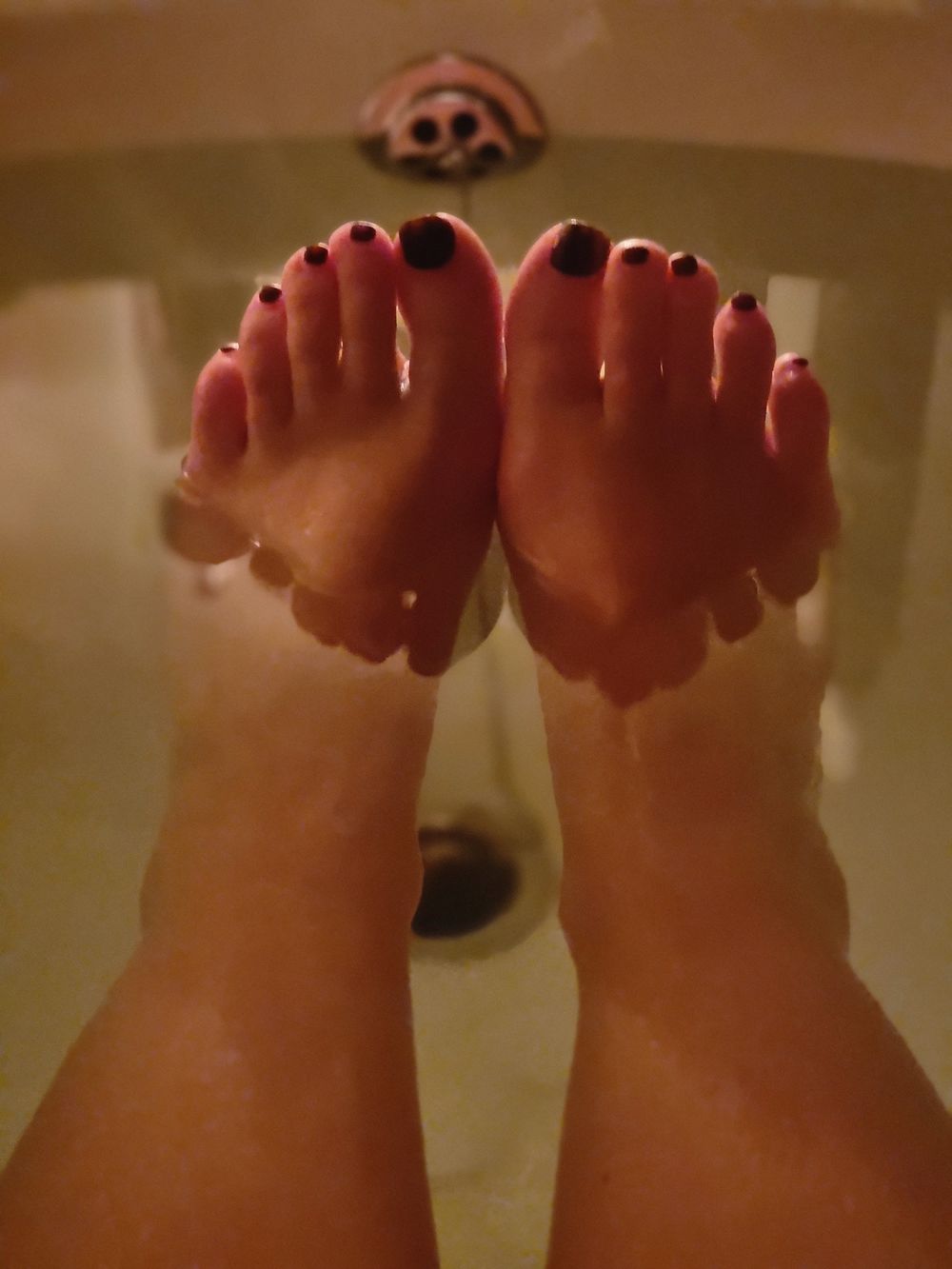 nothoesjusttoes OnlyFans profile picture