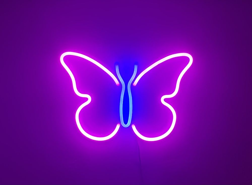 butterflydreamland OnlyFans profile picture