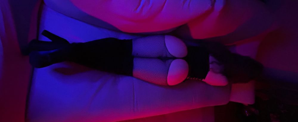free_perky_peaches OnlyFans profile picture