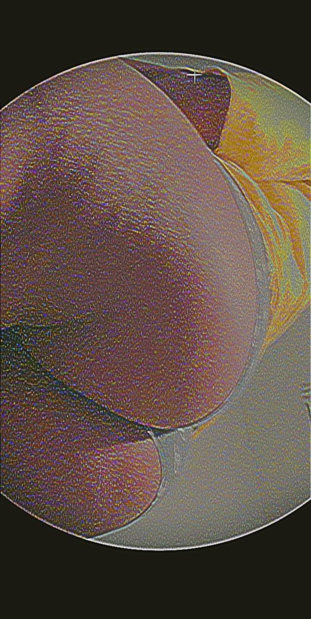 spicysouthernsugar OnlyFans profile picture