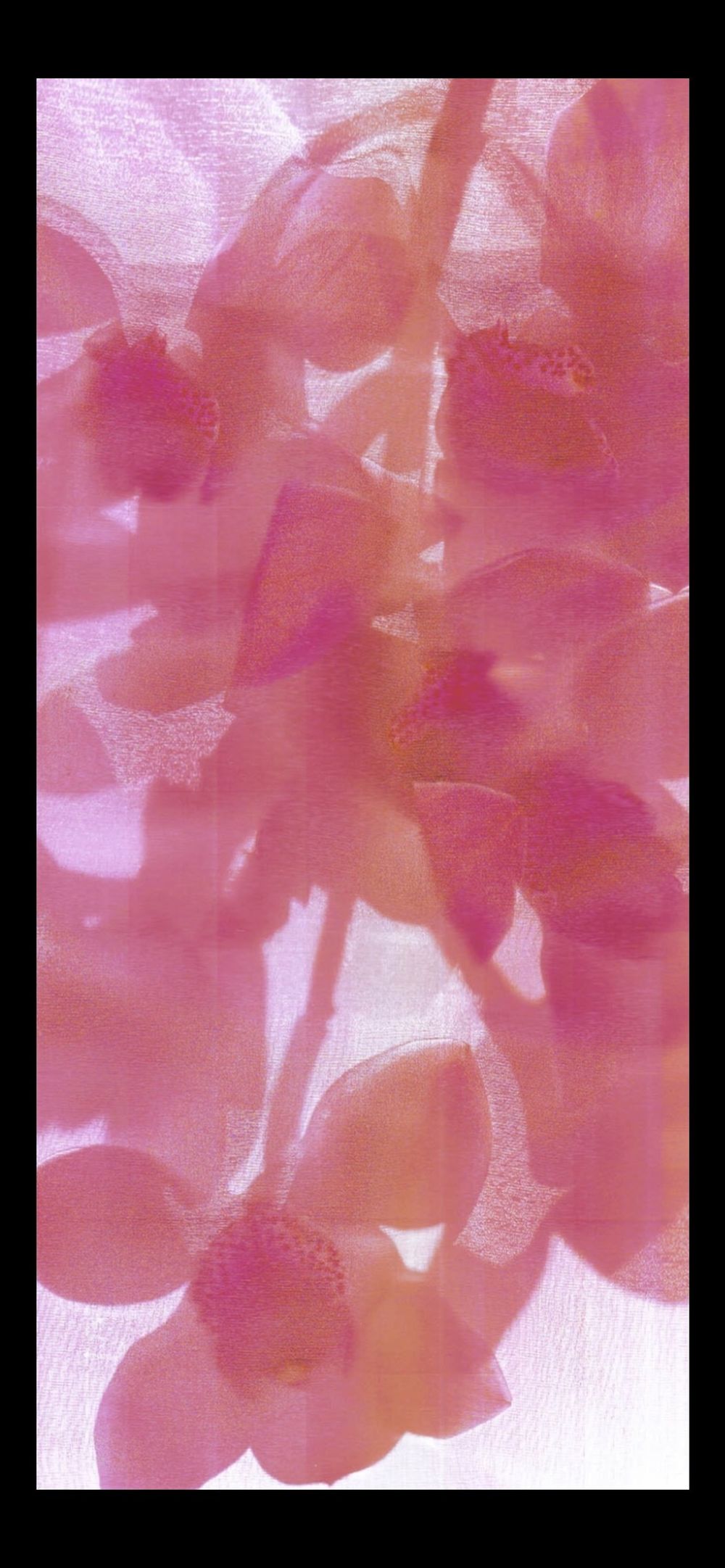 onedaybutnot2day OnlyFans profile picture