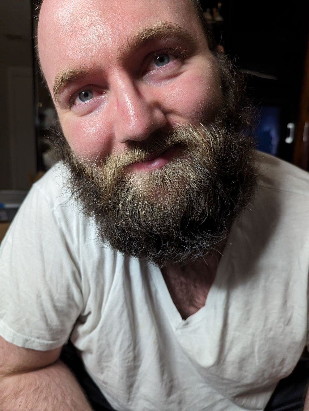 thebeardedviking02 OnlyFans profile picture