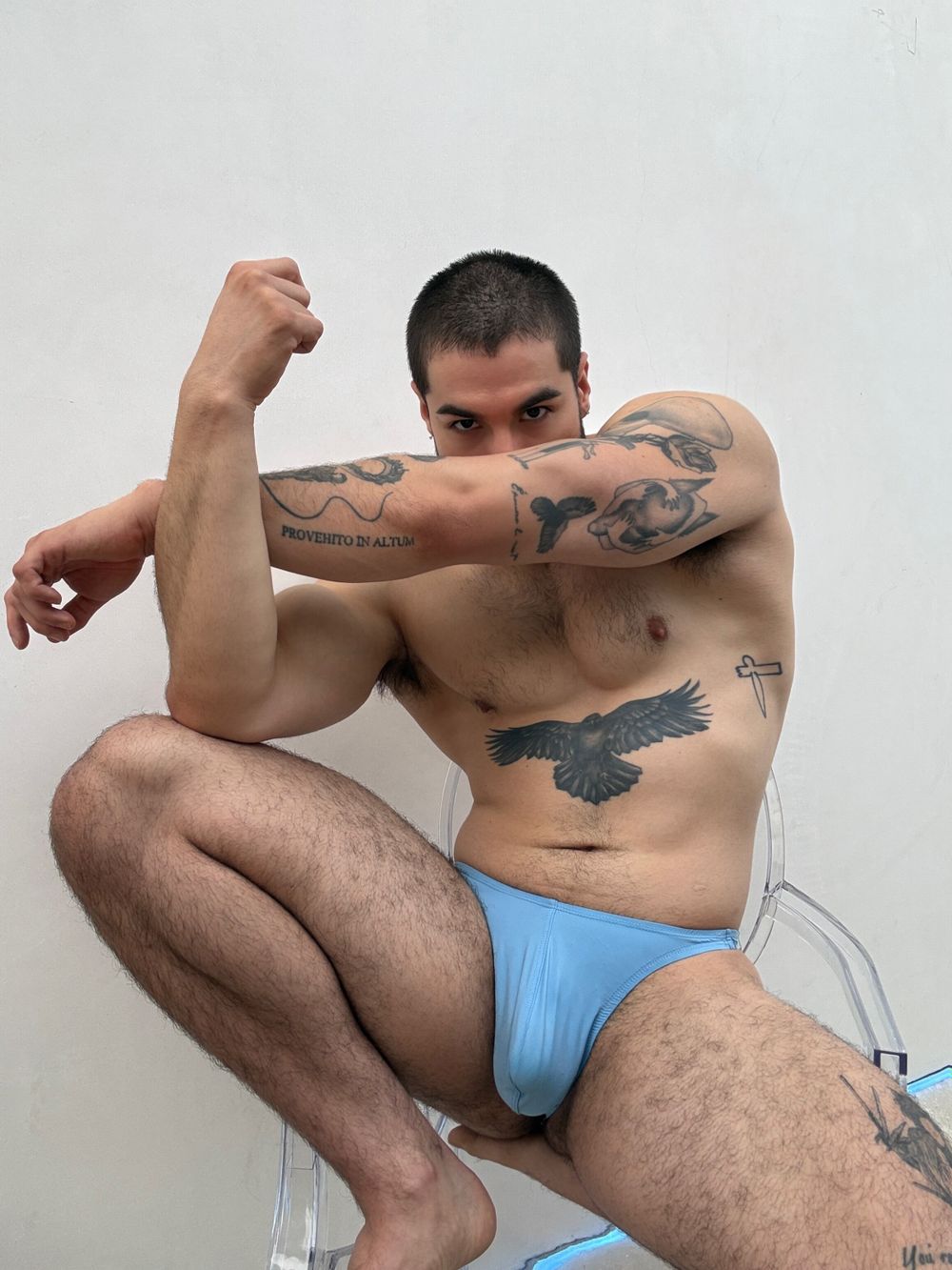 frankfurdr OnlyFans profile picture