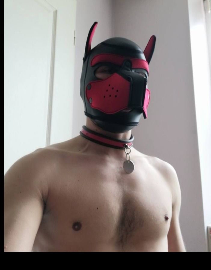 gaypuppy88 OnlyFans profile picture