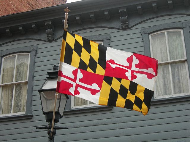 baltimoredadbod OnlyFans profile picture