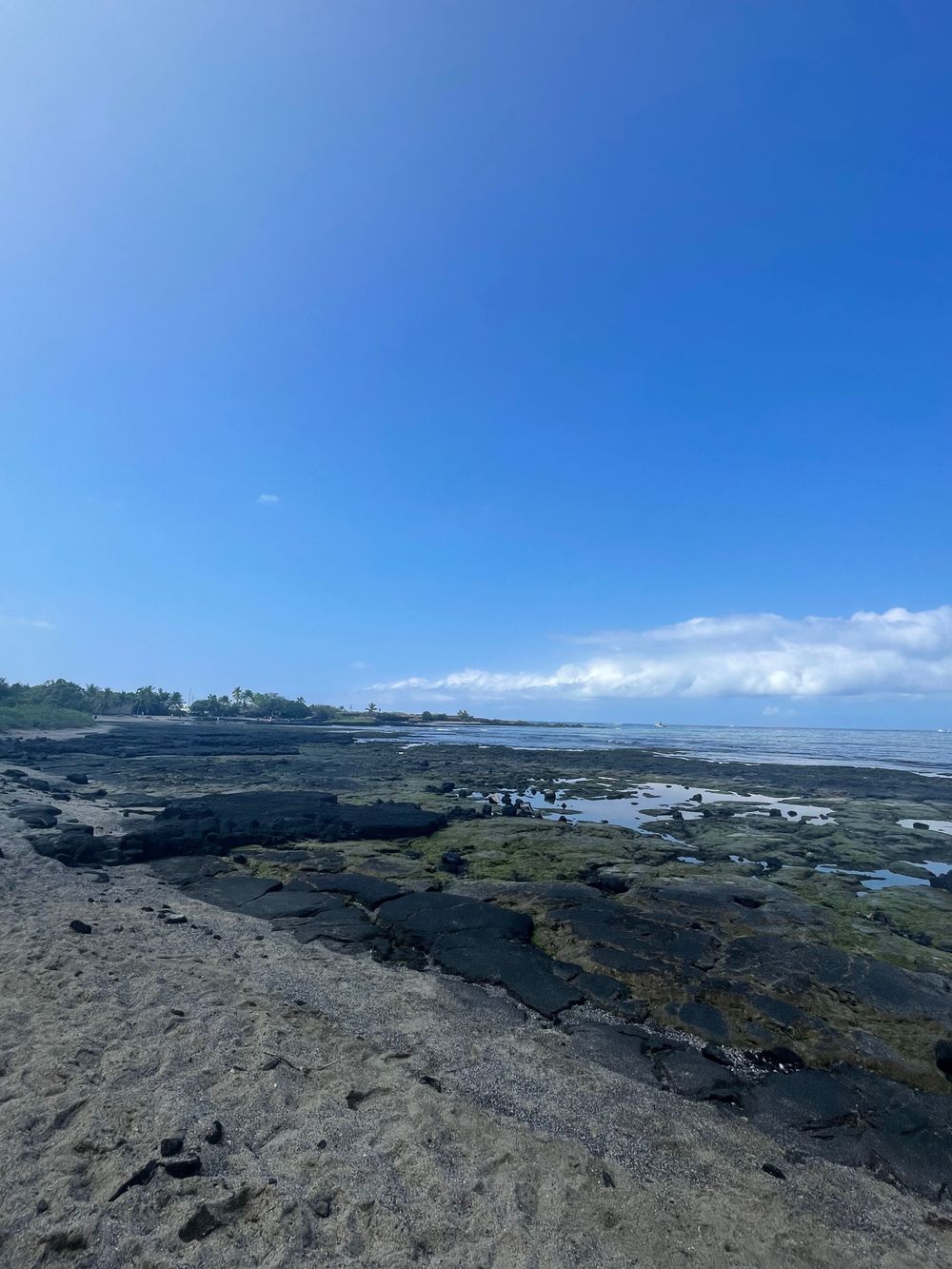 kaelani OnlyFans Stats, Graphs, Photos & Profile Comparisons