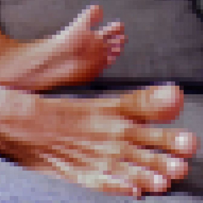 milkrobx OnlyFans profile picture