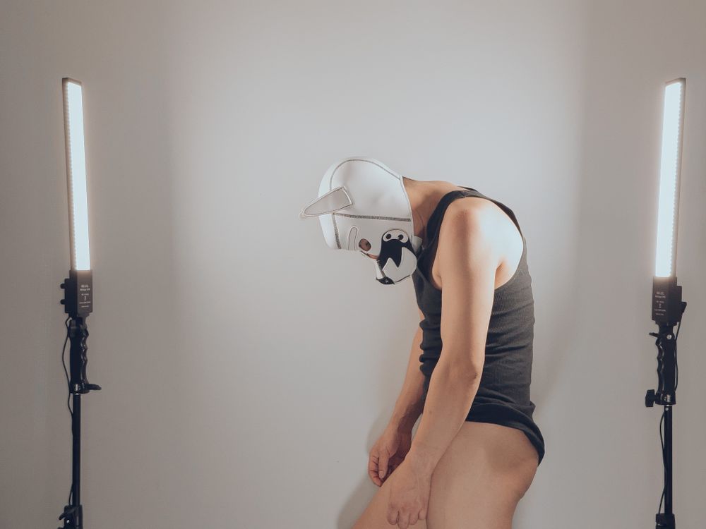 luispitton OnlyFans profile picture